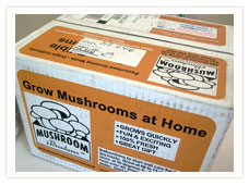 mushroombox.jpg
